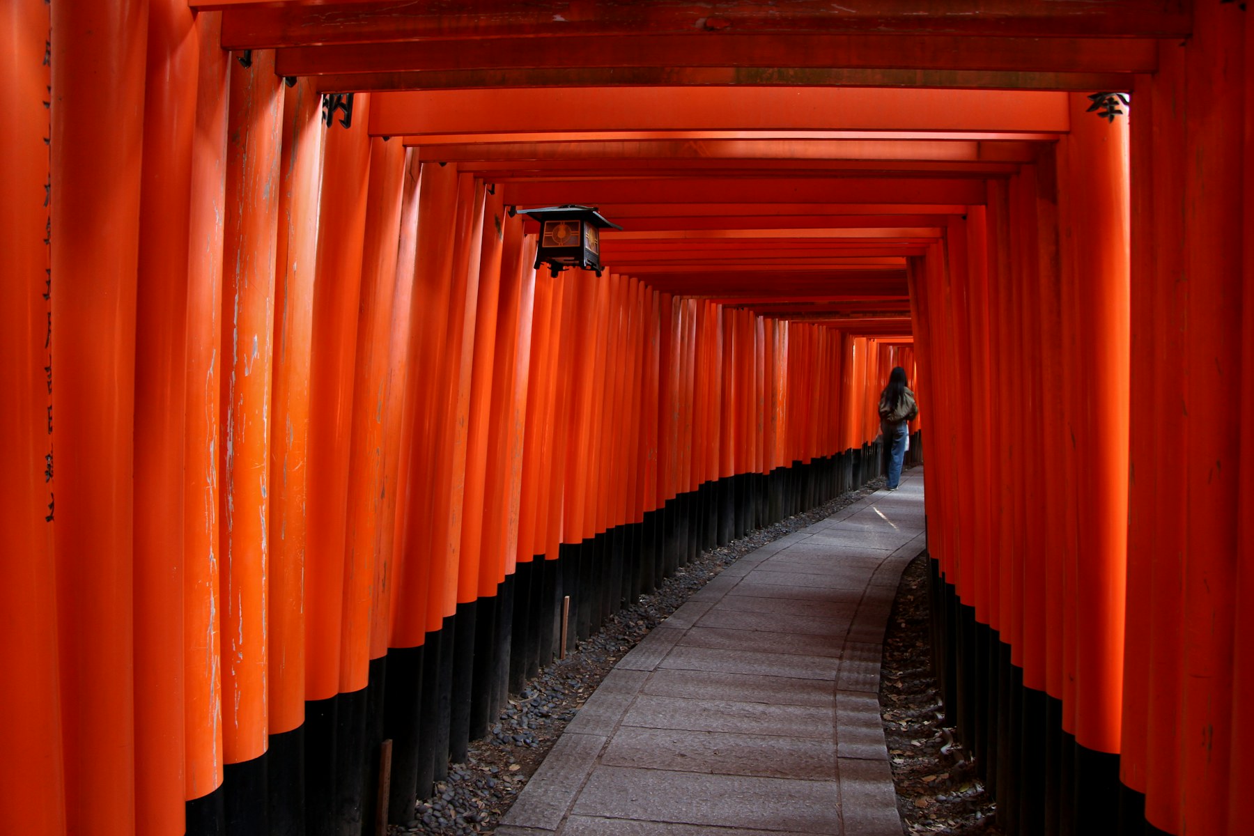 A path through the vermilion torii gates of Fushimi Inari, Kyoto